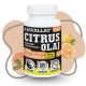 JAVALLAT Forte Citrus olaj 60db