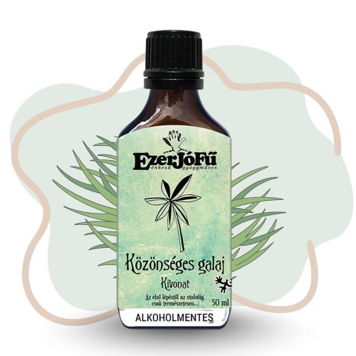 EzerJóFű Közönséges galaj kivonat 50ml alkoholmentes, növényi glicerinnel