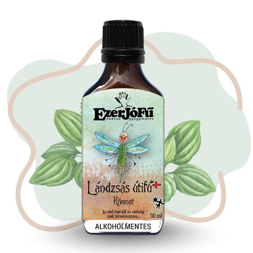 EzerJóFű Lándzsás útifű+ kivonat 50ml alkoholmentes, növényi glicerinnel