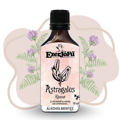 EzerJóFű Astragalus kivonat 50ml alkoholmentes, növényi glicerinnel