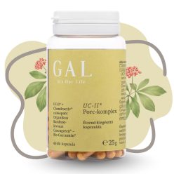 GAL UCII Porc-komplex 30g ÚJ