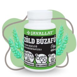 JAVALLAT Nyírfalevél C-vitaminnal kapszula 60 db