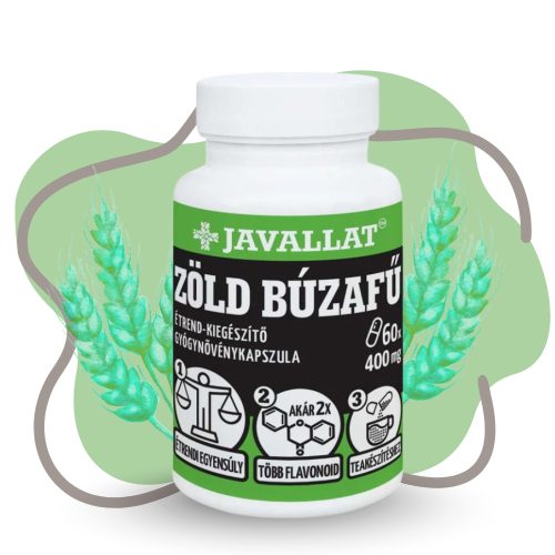 JAVALLAT Nyírfalevél C-vitaminnal kapszula 60 db