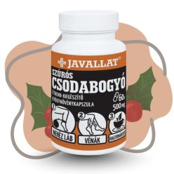 JAVALLAT Szúrós Csodabogyó kapszula 60 db 