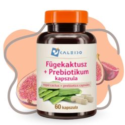 Caleido FÜGEKAKTUSZ + PREBIOTIKUM kapszula 60 db