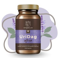   Myrobalan UriDag hólyaghurut elleni 60db gyógynövény komplex kapszula