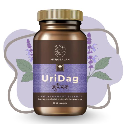 Myrobalan UriDag hólyaghurut elleni 60db gyógynövény komplex kapszula